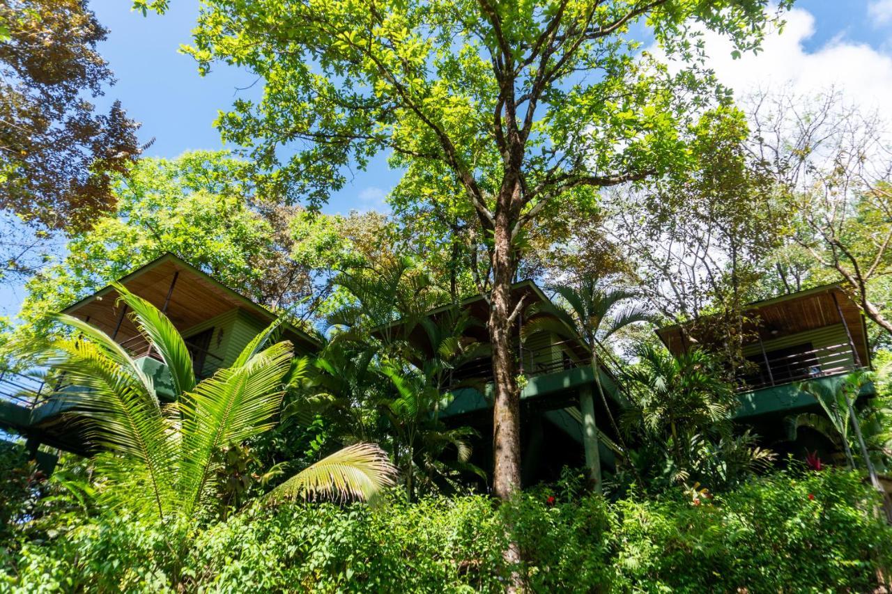 Arbol Verde Villas 오호찰 외부 사진